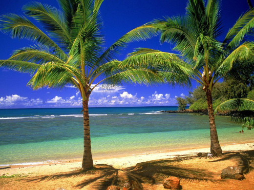 26397 (a): :1600x1200